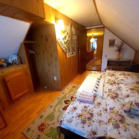 Edelweiss Ilinca Lägenhet Zărneşti Exteriör bild