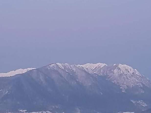 Edelweiss Ilinca Lägenhet Zărneşti Exteriör bild