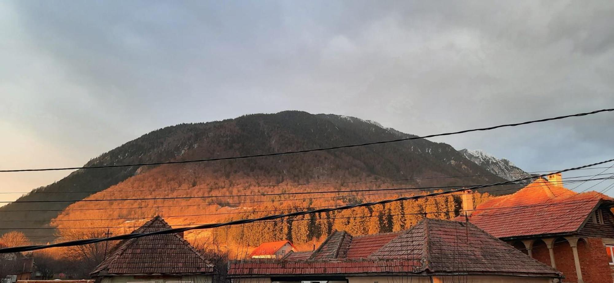 Edelweiss Ilinca Lägenhet Zărneşti Exteriör bild