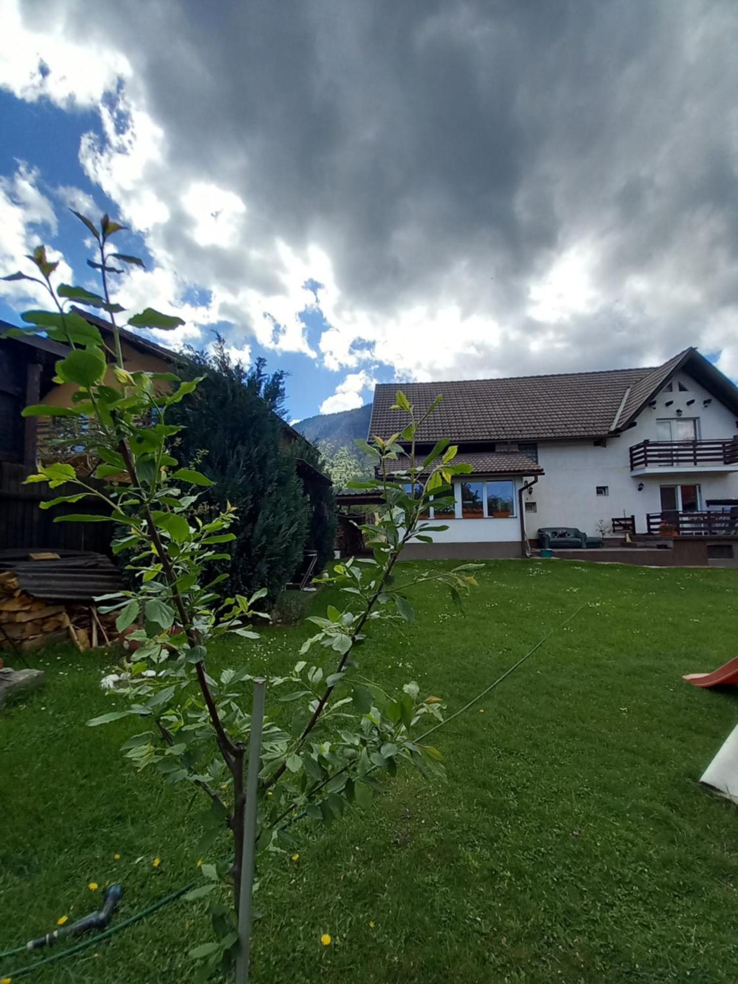 Edelweiss Ilinca Lägenhet Zărneşti Exteriör bild