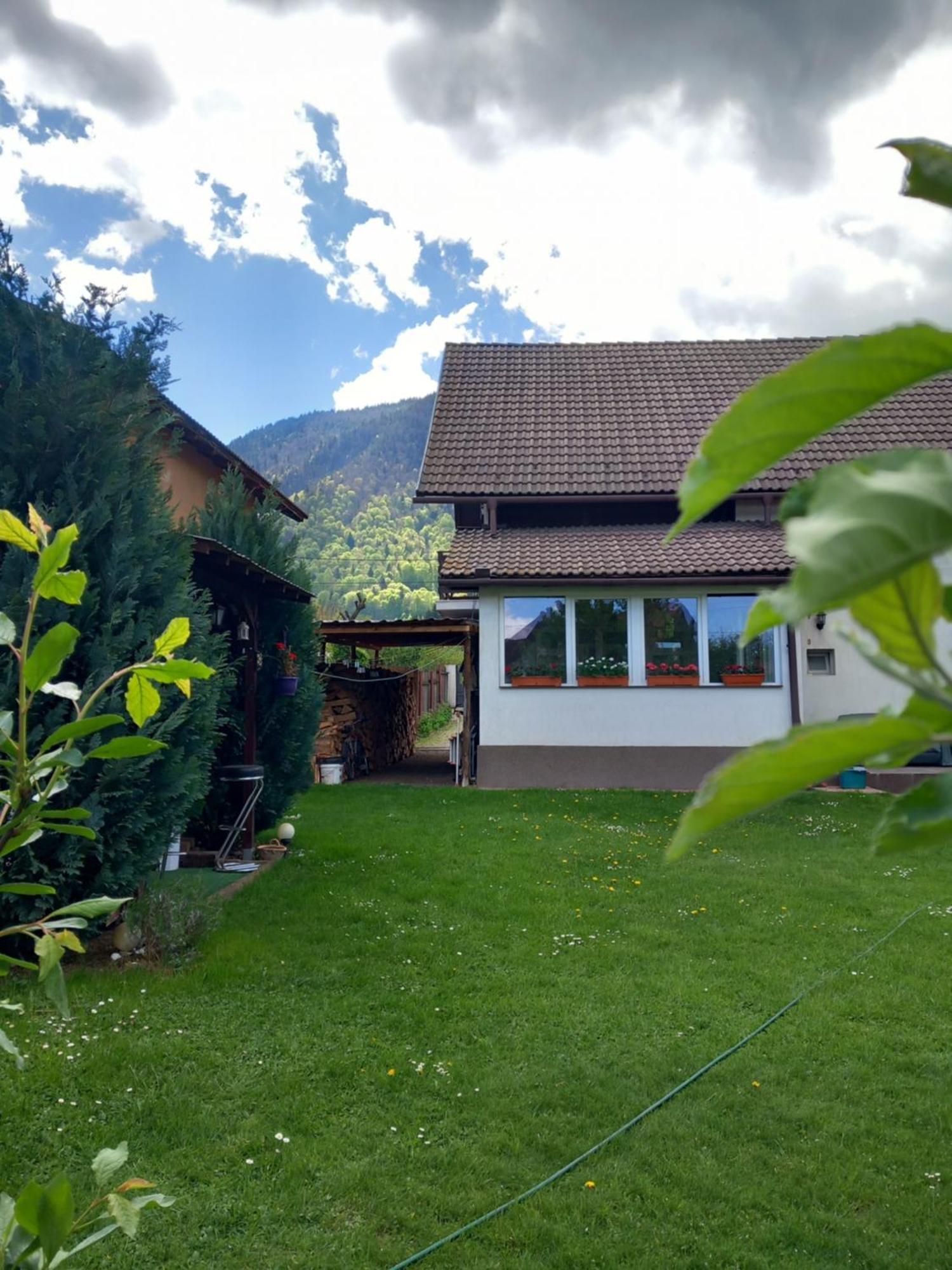 Edelweiss Ilinca Lägenhet Zărneşti Exteriör bild