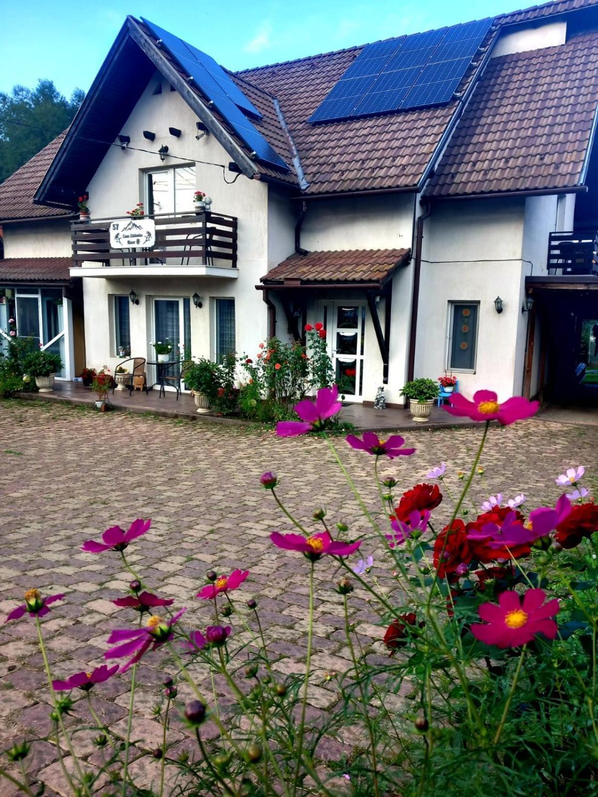 Edelweiss Ilinca Lägenhet Zărneşti Exteriör bild